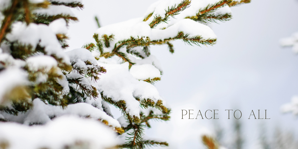 Snow on a tree with the words Peace to All