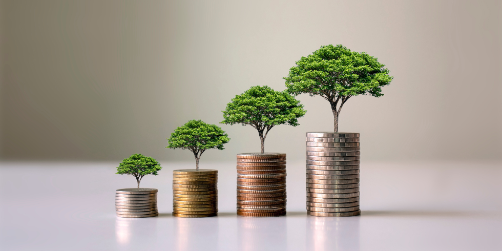 Growing Money_980x490 Trees growing on coins