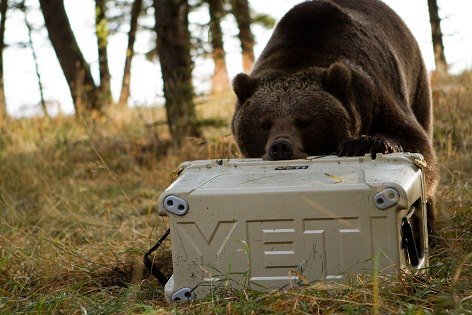 Yeti Coolers, Superior Product, superior customer, cash flow, strategic planning, Greg Herring