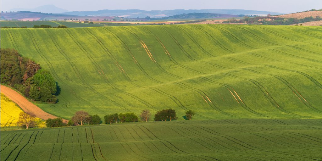 far-reaching-fields-100 green fields stretching to the horizon representing growth