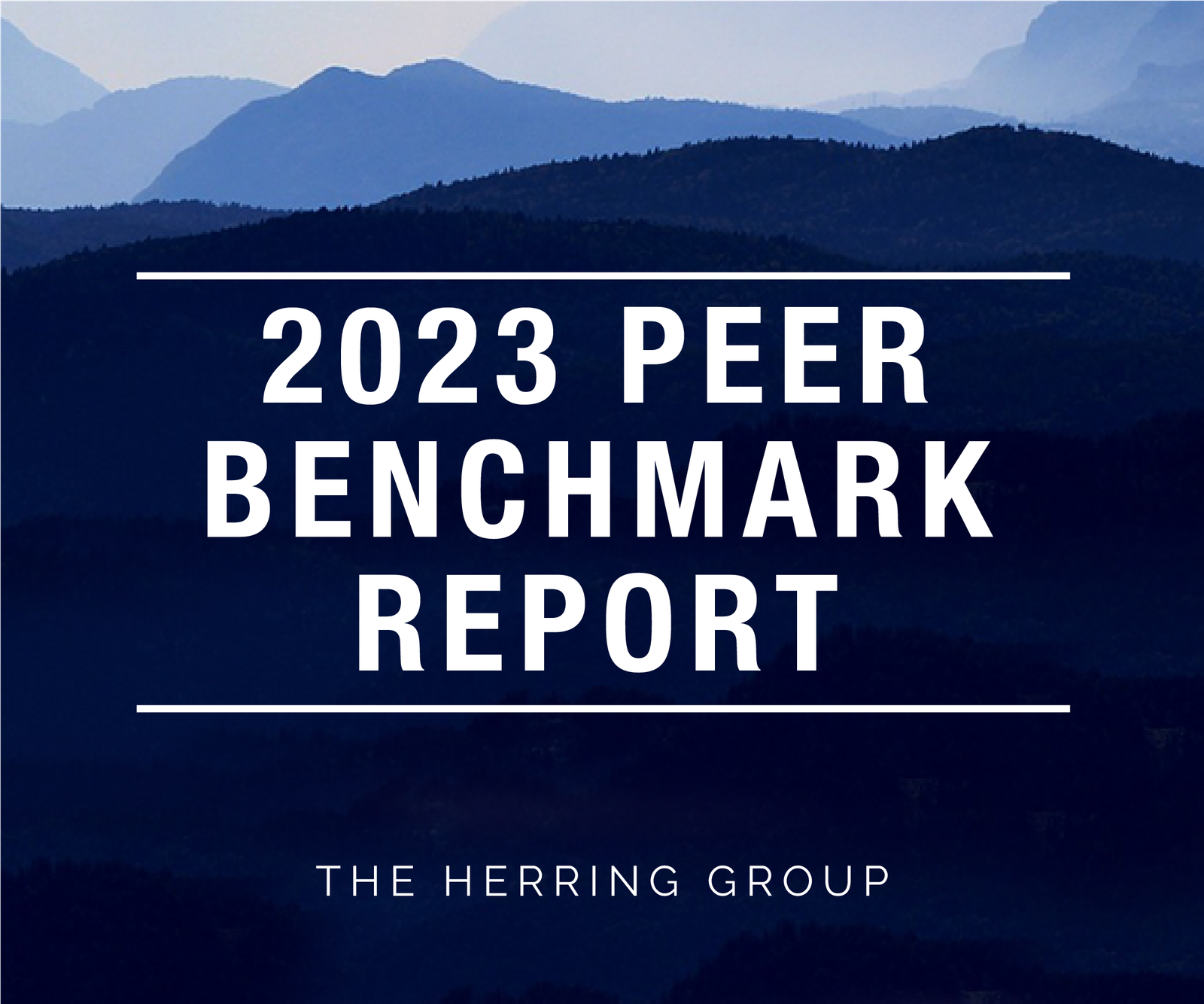 The Herring Group 2023 Benchmark Report